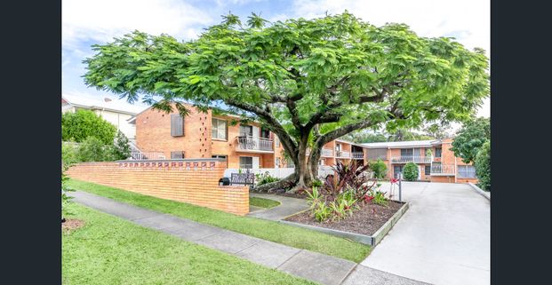 Spacious 1 Bedroom Unit - Photo 1