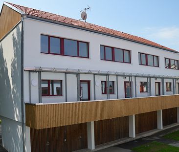 Wohnung in Allentsteig - Foto 4