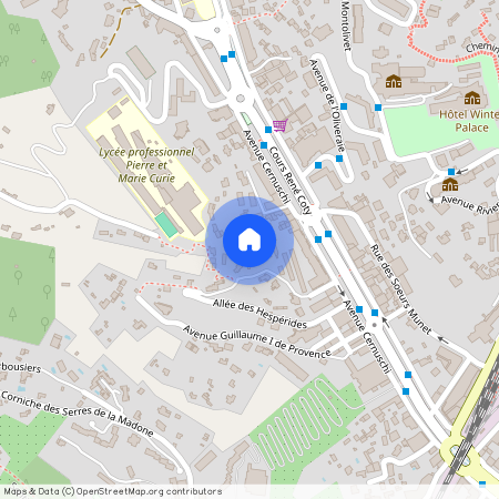 PROVENCE-ALPES-COTE-D-AZUR, ALPES-MARITIMES (06), 06500, Ste Agnes