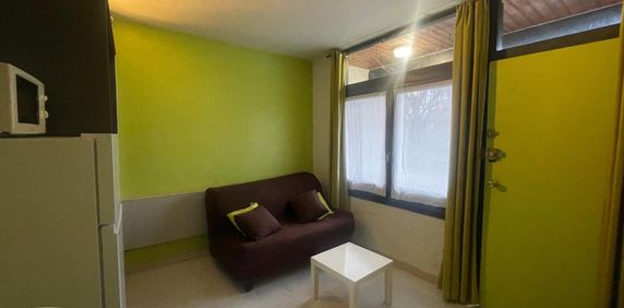 Location Appartement 1 pièce 15m² CHASSENEUIL DU POITOU 86360 - Photo 2