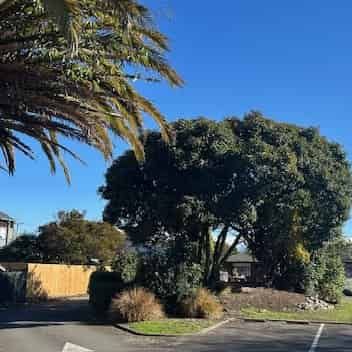 AVAILABLE NOW - 1 Large Studio Unit including power and internet - Photo 3