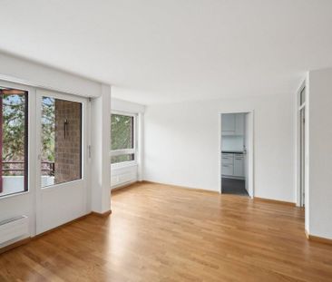 Etwas Grün für's Gemüt? - Foto 2