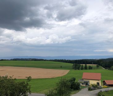 SPACIEUX & LUMINEUX 3½ PIECES - Photo 1