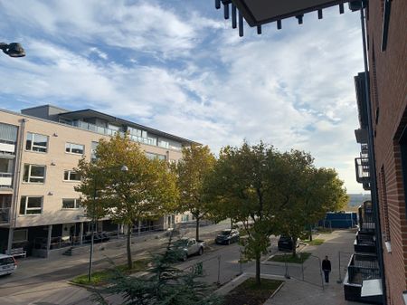 Limhamnsgårdens allé - Foto 5