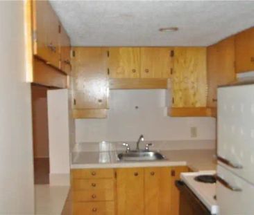 Nice 2 bedroom Lower Level | Calgary - Photo 1