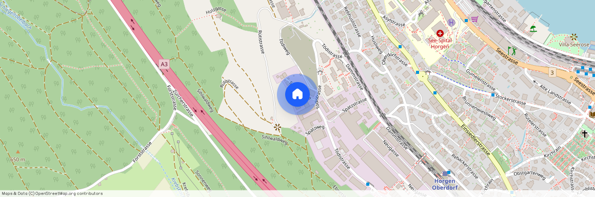 Spätzsstrasse 31, 8810 Horgen