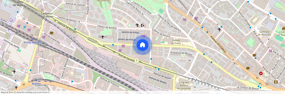 Avenue de Morges 145C, Lausanne Malley