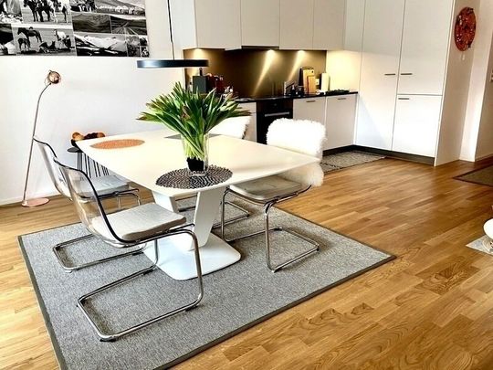 2-ROOM APARTMENT IN BASEL - ISELIN, FURNISHED, TEMPORARY - Photo 1