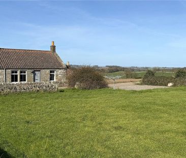 2 bedroom bungalow to rent - Photo 5