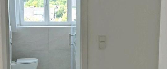 Erstbezug nach Sanierung / lichtdurchflutete 3.5 Zi DG-Wohnung - Photo 1