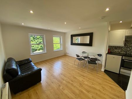 Irvine Court, Mumbles Road, Mumbles, Swansea, SA3 - Photo 2