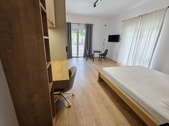 Luxury studio for rent in Cluj-Napoca, 4 minutes walk from the University of Medicine and Pharmacy, located in a recent building, in Zorilor area - Fotografie 1