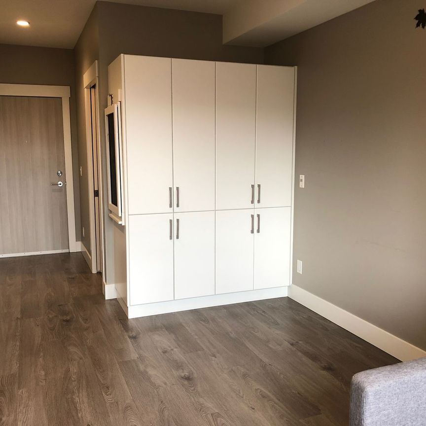 Furnished Studio near Downtown (#442) - Photo 1