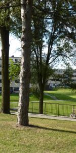 Northwood Village - Photo 3