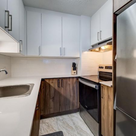 Appartement 3½ à louer – 1 250$/mois 3½ ---- Apartment for Rent – $1,250/month - Photo 3