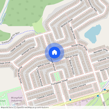 117 Rouge River Drive Unit# Main, Toronto