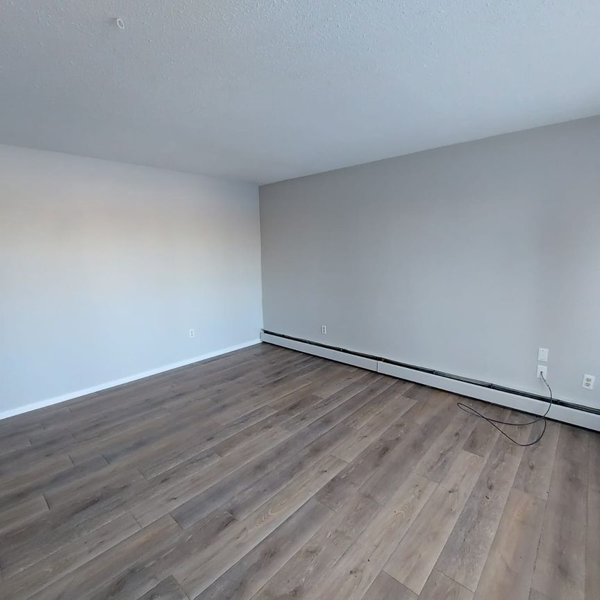 2 Bedroom Main Floor in Glendale! - Photo 1