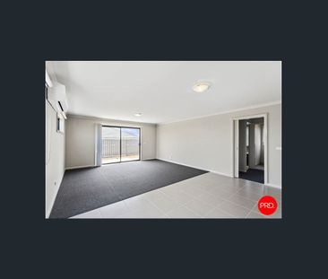 Spacious & modern family home! Gardener Included! Possibly Availabl... - Photo 3