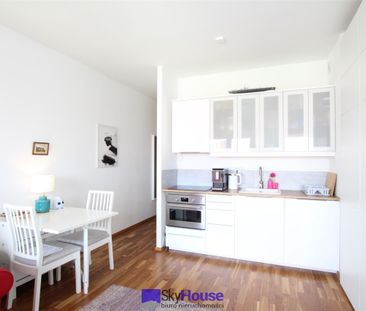 Wrocław, Śródmieście, Nadodrze - Photo 5