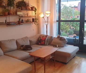 Singelgatan, Malmö - Foto 1