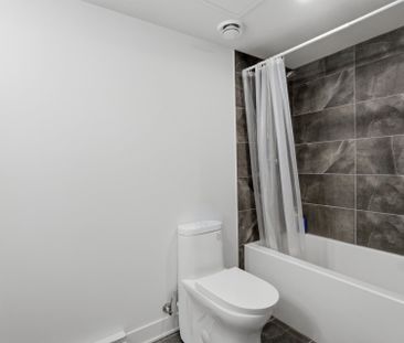 Apartment for rent, Montréal (Le Plateau-Mont-Royal) - Photo 1