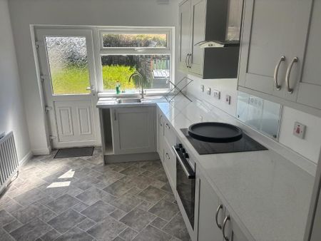 28 Hazelbank Road, Lawrencetown, Banbridge, BT63 6DS - Photo 4