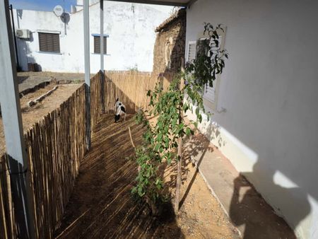 MORADIA PARA ARRENDAMENTO ANUAL - AZINHAL - CASTRO MARIM - ALGARVE - Photo 4