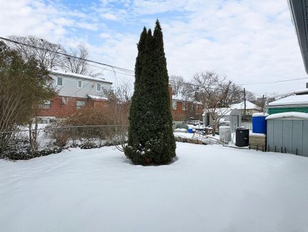 For Lease - 57 Saddle Ridge Drive, Toronto, Ontario - Photo 5
