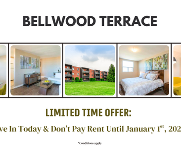 Bellwood Terrace - Photo 5