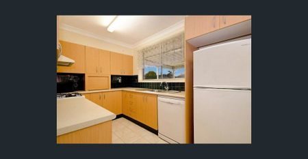 Gracious and Humble 3 Bedroom Family Home - Photo 2