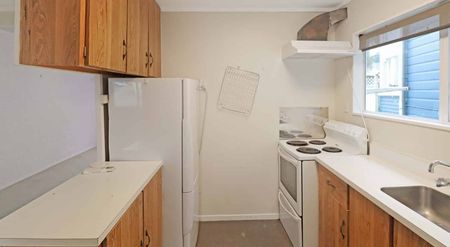 Cosy 2-Bedroom in Mt Victoria - Photo 3