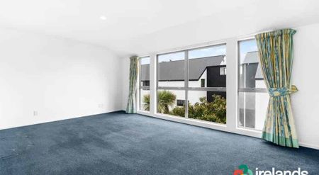 Sunny on Springfield - Photo 2