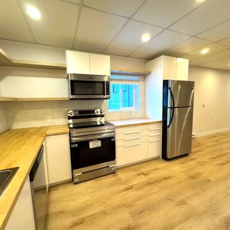 FULLY Renovated 2 beds 1 bath - Photo 3