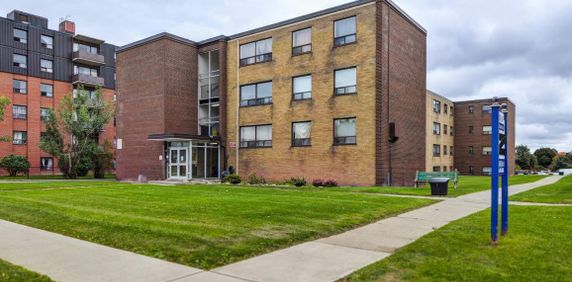 Great 3 Bedroom Apartment! - Photo 2