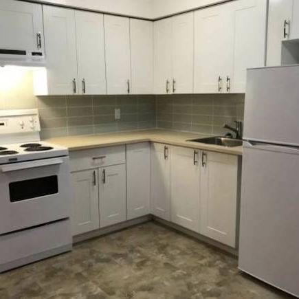 Pet-friendly renovated one bedroom! - Photo 1