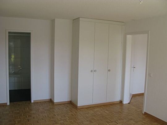 Apartment with large balcony and own ecological electricity - Foto 1