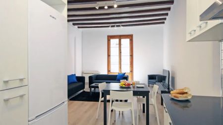 Carrer del Pas de lEnsenyança, Barcelona, Catalonia 08002 - Photo 4