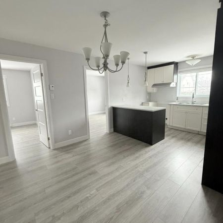 Grand 5½ rénové, 3 chambres, clim, 2 stationnements + rangement privé, dispo maintenant - Photo 3