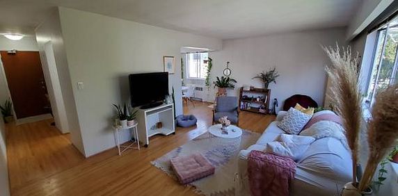 Pet Friendly Large Bright 1 bedroom available Sept 15! - Photo 2