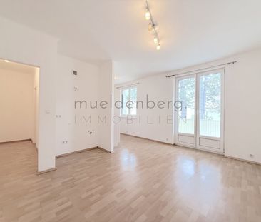 Charmante 1-Zi Wohnung in Mödling, 31m², Loggia, Einbauküche! - Photo 3