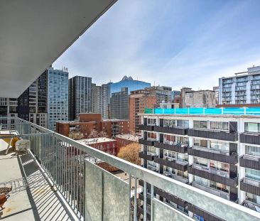 3445 Hutchison — Small Studio - Photo 1
