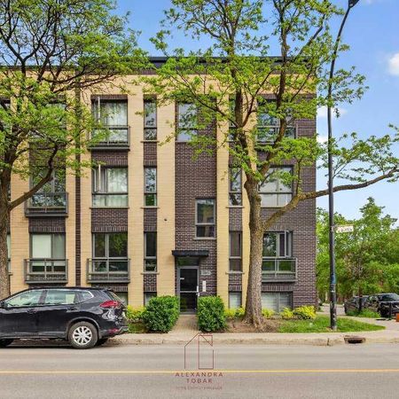 🚨 LOCATION DISPONIBLE - 2 𝗠𝗢𝗜𝗦 𝗚𝗥𝗔𝗧𝗨𝗜𝗧 - Hochelaga-Maisonneuve - Photo 4