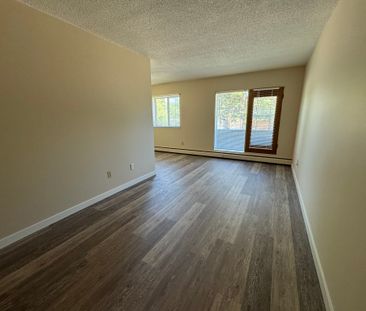 SPACIOUS 2 Bedroom APARTMENT!! GREAT LOCATION Downtown!!! - Photo 1