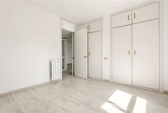 Palma, Balearic Islands 07006