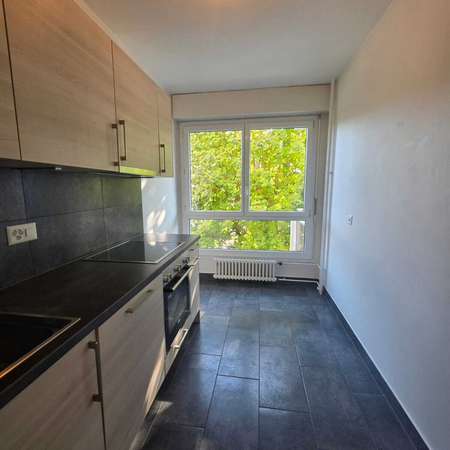 2 Zimmer, 53 m², 1. Stock - Photo 3