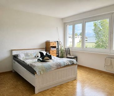 2.5 Zimmer, 53 m², 3. Stock - Foto 2