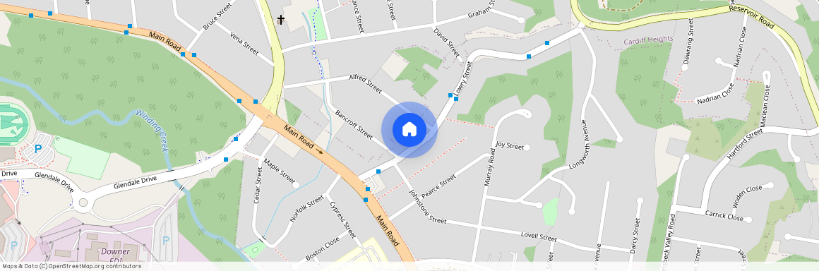 61 Lowry Street, NSW 2285, Cardiff