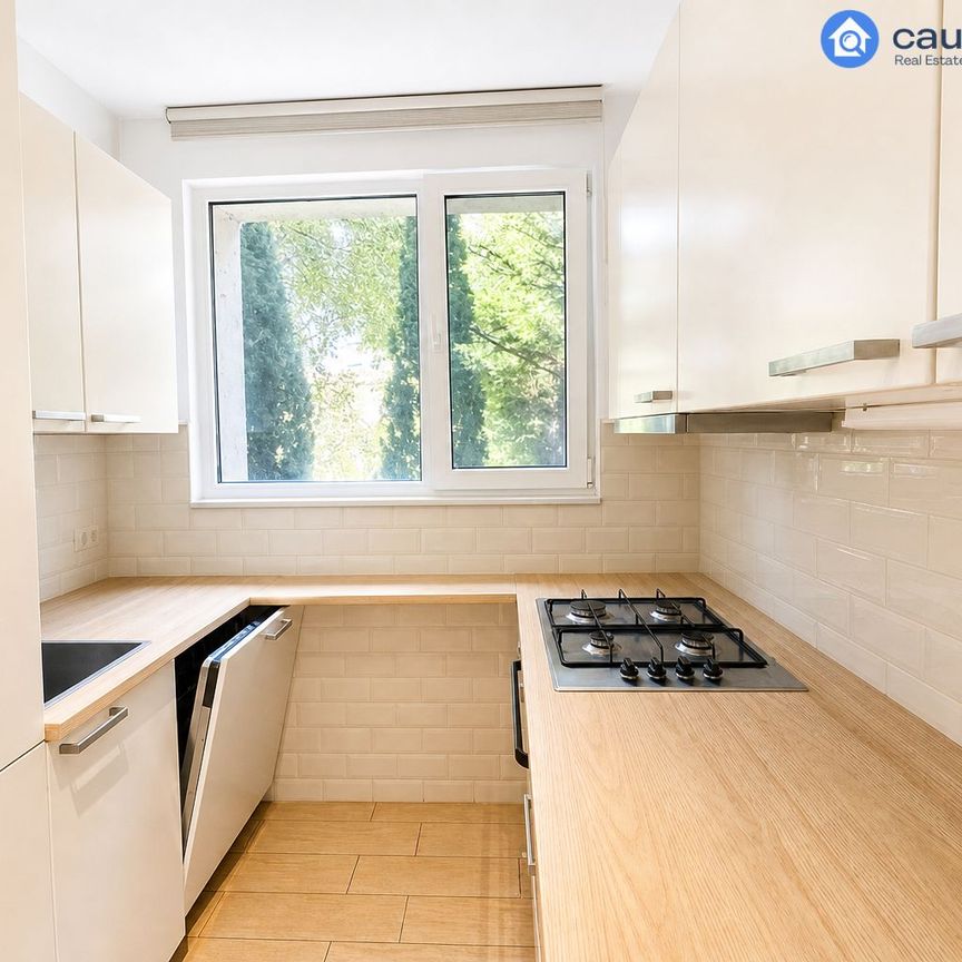 Casă 3 camere| Grozavesti| Rezidential sau Sediu firma| - Fotografie 1