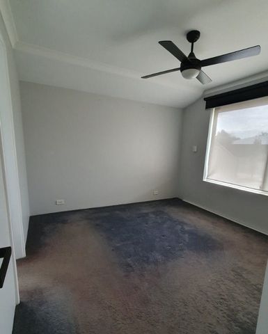 10 Wagtail Brace - Photo 2