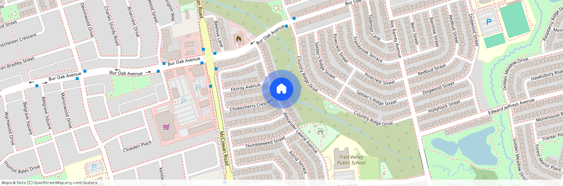 123 Alexander Lawrie Avenue Unit# Bsmt, Markham